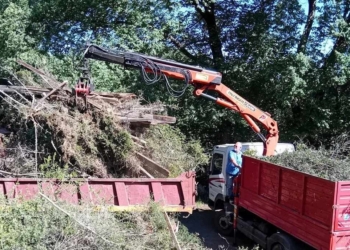 Ο καθημερινός αγώνας της Διεύθυνσης Περιβάλλοντος και Πρασίνου του Δήμου Δελφών