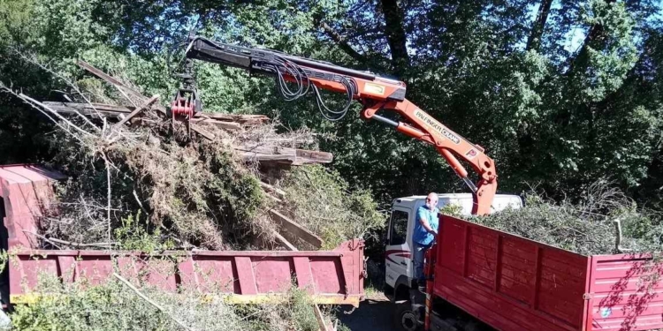 Ο καθημερινός αγώνας της Διεύθυνσης Περιβάλλοντος και Πρασίνου του Δήμου Δελφών