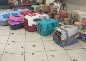 Με επιτυχία η δράση στείρωσης αδέσποτων ζώων συντροφιάς το Σαββατοκύριακο