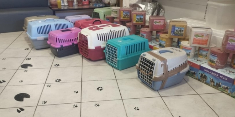 Με επιτυχία η δράση στείρωσης αδέσποτων ζώων συντροφιάς το Σαββατοκύριακο