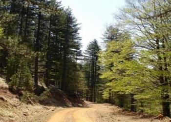 “Ενίσχυση πυροπροστασίας κατοικημένων περιοχών στον Δήμο Αμφίκλειας – Ελάτειας”, ποσού 104.838,43€ 