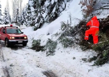 Μάχη με τα χιόνια για ανοιχτούς δρόμους από το ΠΚ Πολυδρόσου