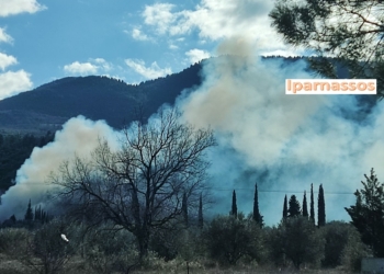 ΦΩΤΟ ΑΡΧΕΙΟΥ