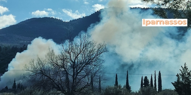 ΦΩΤΟ ΑΡΧΕΙΟΥ