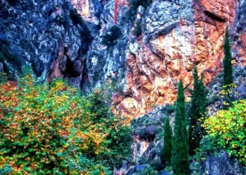 36Χρονη γυναίκα νεκρή στους Δελφούς