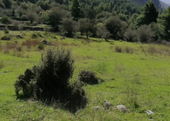 Τέλος στη δυνατότητα οικοδόμησης σε οικόπεδα μικρότερα των 2 στρεμμάτων για οικισμούς κάτω των 2.000 κατοίκων.