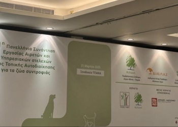 Οι προτάσεις της αυτοδιοίκησης για τη διαχείριση των αδέσποτων ζώων