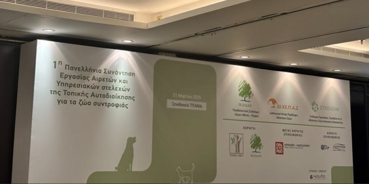 Οι προτάσεις της αυτοδιοίκησης για τη διαχείριση των αδέσποτων ζώων