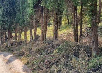 Εργασίες δημιουργίας αντιπυρικών ζωνών στον Δήμο Αμφίκλειας – Ελάτειας 