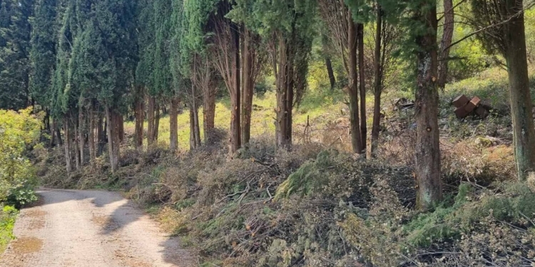 Εργασίες δημιουργίας αντιπυρικών ζωνών στον Δήμο Αμφίκλειας – Ελάτειας 