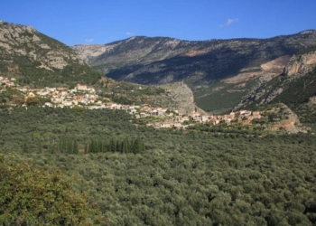 Στο ΦΕΚ και επίσημα ως Μαρτυρικό Χωριό η Κοινότητα Ελαιώνα