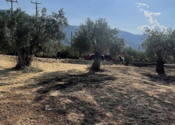 Γρήγορα υπό έλεγχο, η φωτιά στον παραδοσιακό ελαιώνα της Άμφισσας, πλησίον της Κοινότητας Σερνικακίου.
