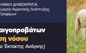 Τα μέτρα για τον περιορισμό και εκρίζωση της ευλογιάς των προβάτων