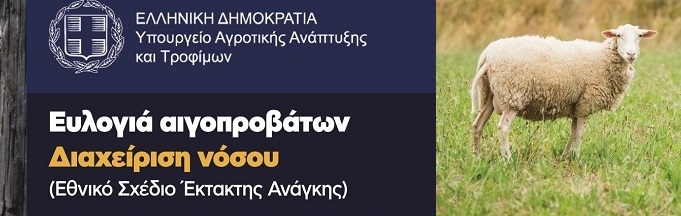 Τα μέτρα για τον περιορισμό και εκρίζωση της ευλογιάς των προβάτων