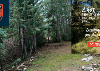 To Δάσος σε καλεί! Ακολούθησε μας σε μια πεζοπορία γεμάτη αξιοθέατα μοναδικής ομορφιάς