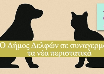 Άμεση παρέμβαση του Δήμου Δελφών για περιστατικά θανάτων ζώων στη Δεσφίνα