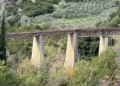 «Σπανός από τον Γοργοπόταμο: Το Μέλλον Χτίζεται με Συνεργασία»