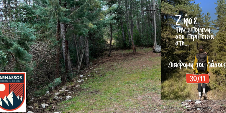 Ζήσε την επόμενή σου περιπέτεια στη….. Διαδρομή του Δάσους