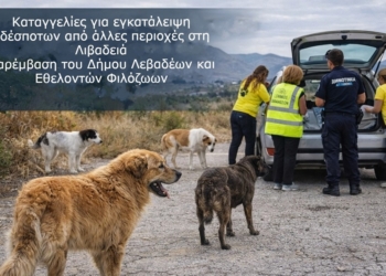 Καταγγελίες για εγκατάλειψη αδέσποτων από άλλες περιοχές στη Λιβαδειά
