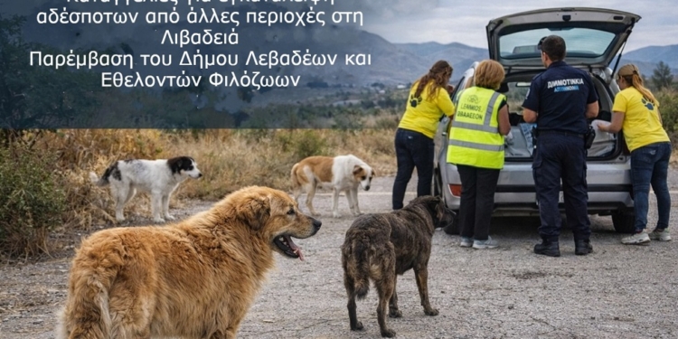 Καταγγελίες για εγκατάλειψη αδέσποτων από άλλες περιοχές στη Λιβαδειά
