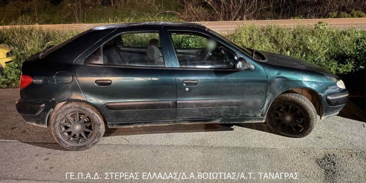 Στα «πράσα» τρεις δράστες σε φωτοβολταϊκό πάρκο της Βοιωτίας