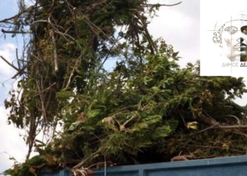 Δ. Δελφών: Ανακοίνωση για περισυλλογή των κλαδεμάτων τη Μ. Εβδομάδα