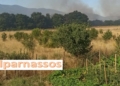 Πυρκαγιά στη Μαριολάτα Δελφών – Ισχυρή κινητοποίηση επίγειων και εναέριων δυνάμεων