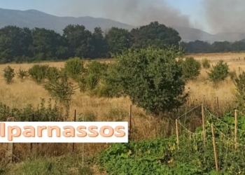 Πυρκαγιά στη Μαριολάτα Δελφών – Ισχυρή κινητοποίηση επίγειων και εναέριων δυνάμεων