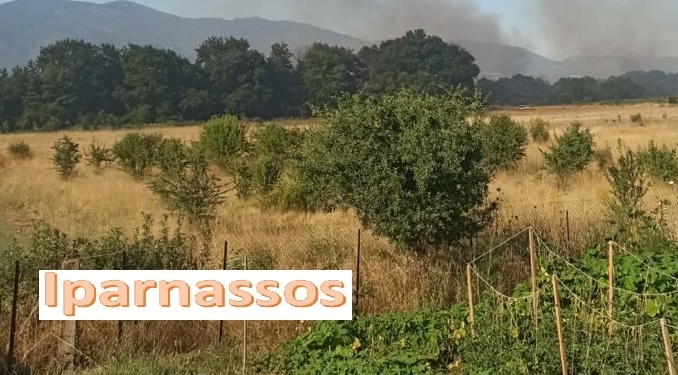 Πυρκαγιά στη Μαριολάτα Δελφών – Ισχυρή κινητοποίηση επίγειων και εναέριων δυνάμεων