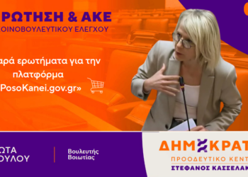 Γ. Πούλου: Σοβαρά ερωτήματα για την πλατφόρμα «PosoKanei.gov.gr»