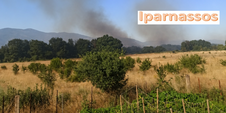 Πυρκαγιά στη Μαριολάτα Δελφών – Ισχυρή κινητοποίηση επίγειων και εναέριων δυνάμεων