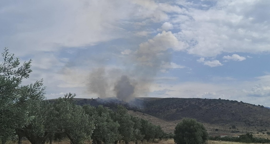 Νύχτα και πρωινό συναγερμού στον Δ. Δελφών – Τρεις πυρκαγιές σε λίγες ώρες σε Καστέλλια, Χρισσό και Γαλαξίδι
