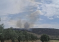 Νύχτα και πρωινό συναγερμού στον Δ. Δελφών – Τρεις πυρκαγιές σε λίγες ώρες σε Καστέλλια, Χρισσό και Γαλαξίδι