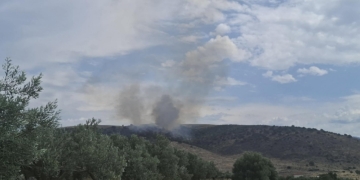 Νύχτα και πρωινό συναγερμού στον Δ. Δελφών – Τρεις πυρκαγιές σε λίγες ώρες σε Καστέλλια, Χρισσό και Γαλαξίδι