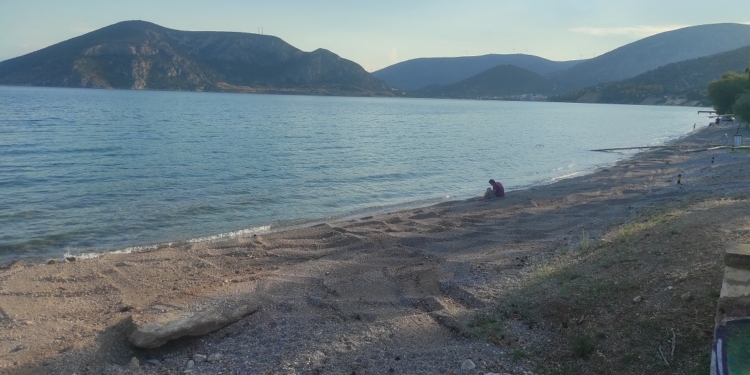 Πιο φιλόξενη η παραλία του Διστόμου ενόψει καλοκαιριού