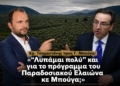 «“Λυπάμαι πολύ” και για το πρόγραμμα του Παραδοσιακού Ελαιώνα κε Μπούγα;»