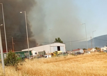 Υπό έλεγχο η μεγάλη πυρκαγιά στο Καλαπόδι Φθιώτιδας