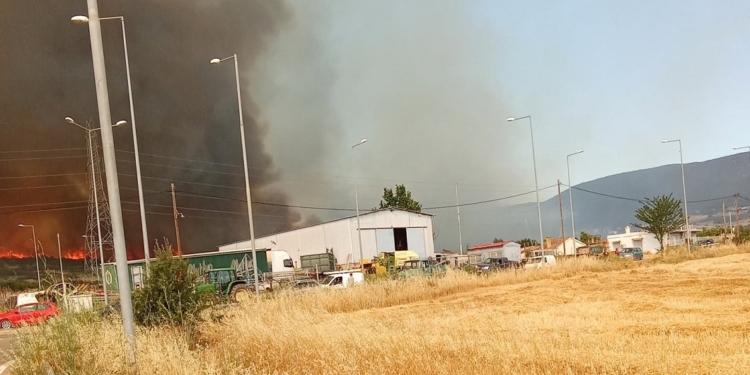 Υπό έλεγχο η μεγάλη πυρκαγιά στο Καλαπόδι Φθιώτιδας