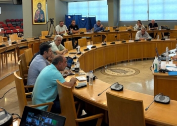 Επτά προτάσεις για το μέλλον της Κωπαΐδας
