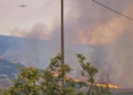 Μεγάλη μάχη με τις φλόγες στο Καλαπόδι Φθιώτιδας