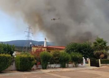 Ο Δήμος Αμφίκλειας – Ελάτειας για τη μεγάλη πυρκαγιά: Οι πληγές, οι ευχαριστίες και η επόμενη ημέρα