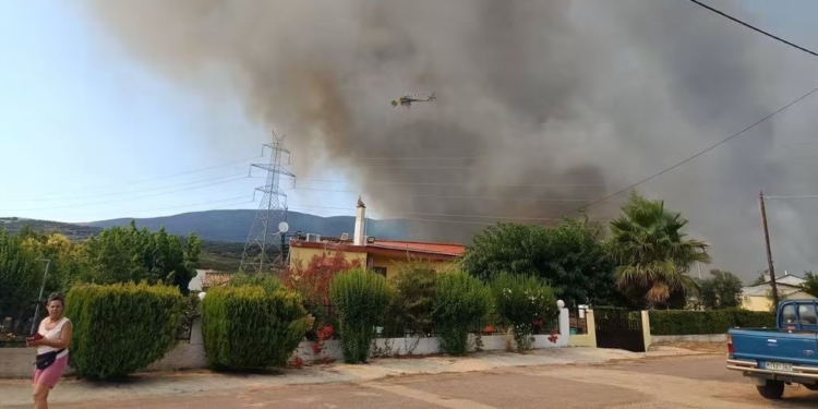 Ο Δήμος Αμφίκλειας – Ελάτειας για τη μεγάλη πυρκαγιά: Οι πληγές, οι ευχαριστίες και η επόμενη ημέρα