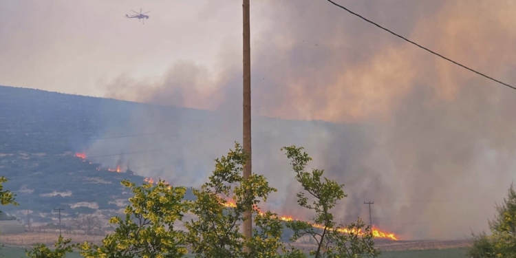 Μεγάλη μάχη με τις φλόγες στο Καλαπόδι Φθιώτιδας