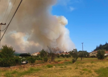 Μάχη χωρίς ανάσα στη Δωρίδα: Η φωτιά απειλεί οικισμούς – Εκκενώθηκαν χωριά, ζημιές σε κατοικίες στο Κλήμα