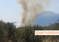 Φωτιά στην Ελάτεια Φθιώτιδας – Ήχησε το 112