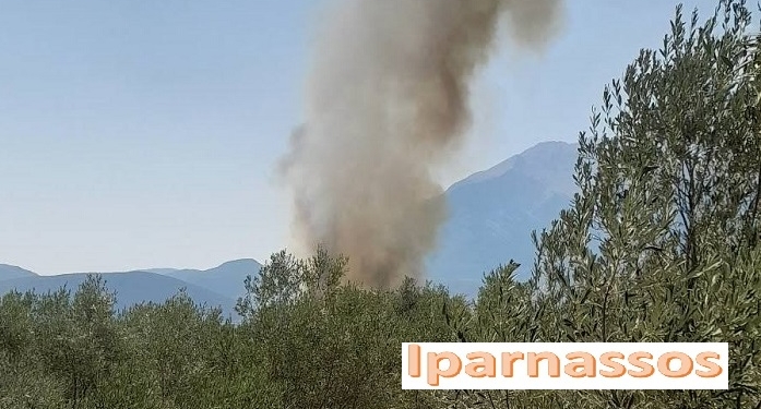 Υπό μερικό έλεγχο η φωτιά στην Ελάτεια Φθιώτιδας – Παραμένουν στο σημείο οι πυροσβεστικές δυνάμεις