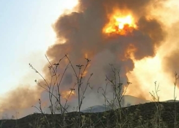 Ισχυρές επίγειες δυνάμεις συνεχίζουν να επιχειρούν στην πυρκαγιά στον Άγιο Βλάσιο Βοιωτίας