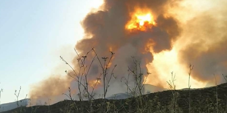 Ισχυρές επίγειες δυνάμεις συνεχίζουν να επιχειρούν στην πυρκαγιά στον Άγιο Βλάσιο Βοιωτίας