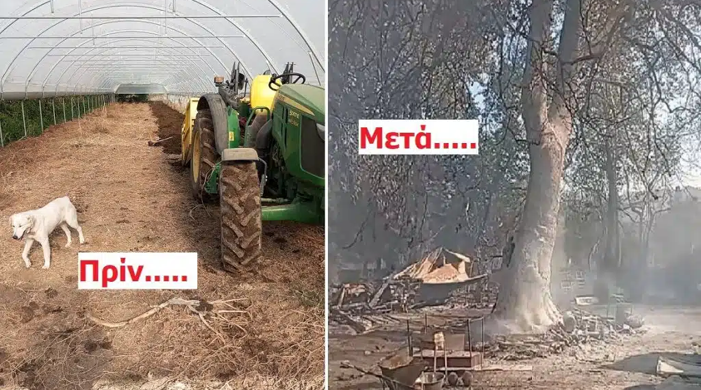 Για τη χώρα μας……….την περιοχή του Ευπαλίου…….του Μπάμπη!
