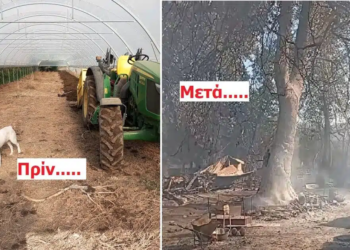 Για τη χώρα μας……….την περιοχή του Ευπαλίου…….του Μπάμπη!